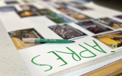 Actu RSE – Atelier Fresque du Climat 🌿
